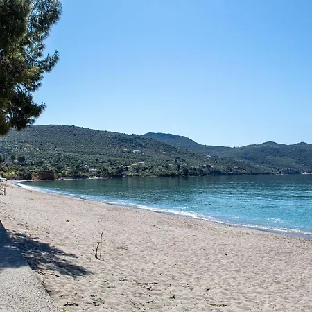 Frinda, Next To The Sea